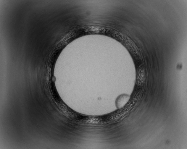 X0000103320656200810171402