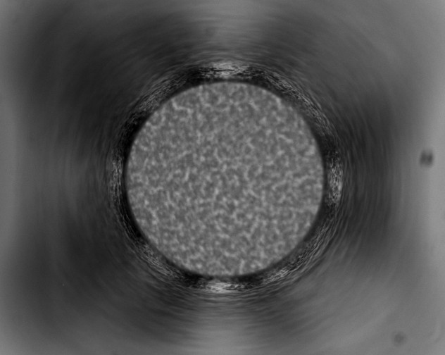 X0000103320657200810171402