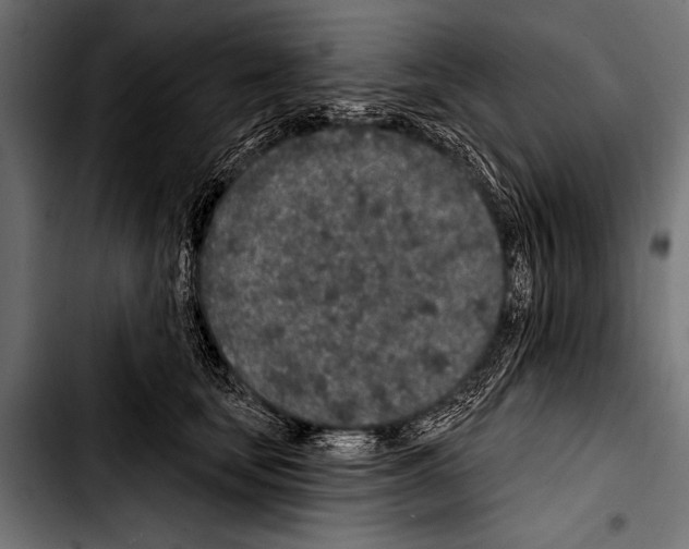X0000103320659200810171402