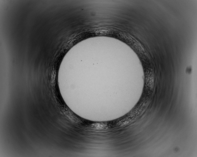 X0000103320660200810171402