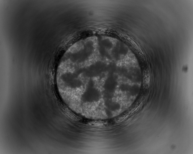 X0000103320661200810171402