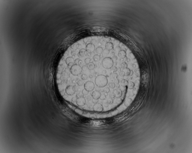 X0000103320662200810171402