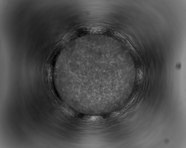 X0000103320663200810171402