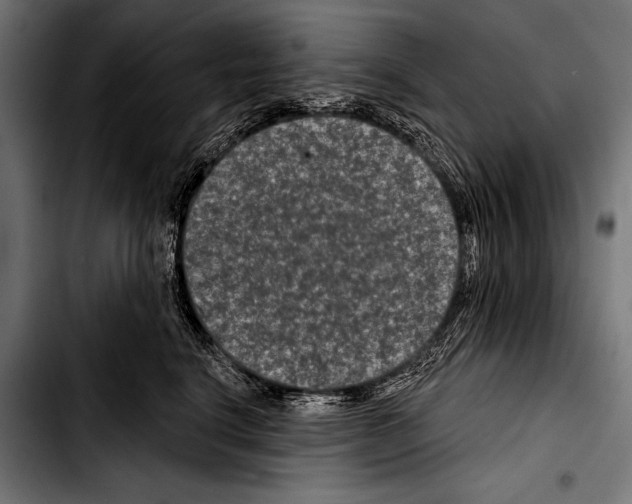 X0000103320664200810171402