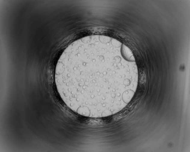 X0000103320666200810171402