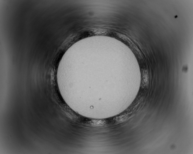 X0000103320667200810171402
