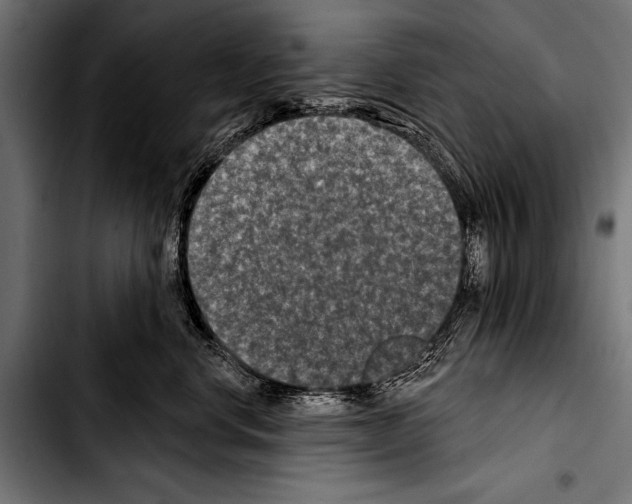 X0000103320668200810171402