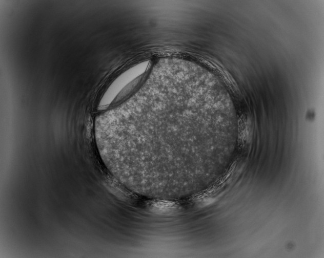 X0000103320669200810171403