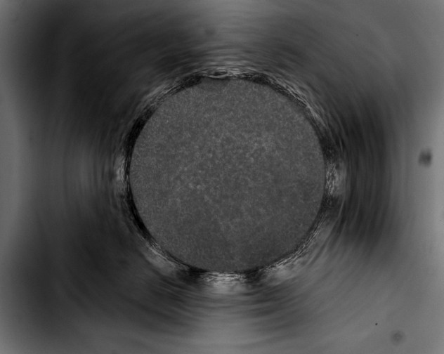 X0000103320670200810171403