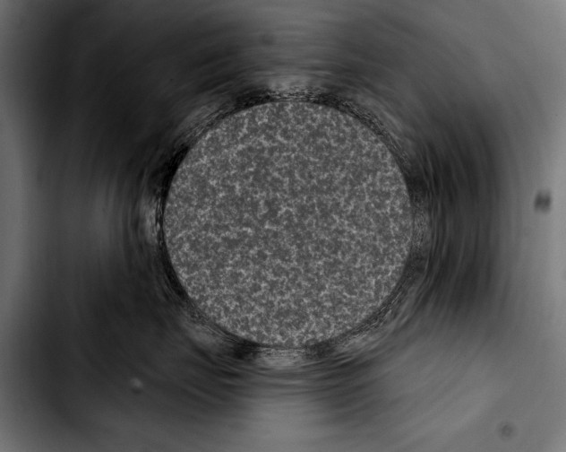 X0000103320671200810171403