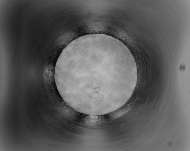 X0000103320672200810171403