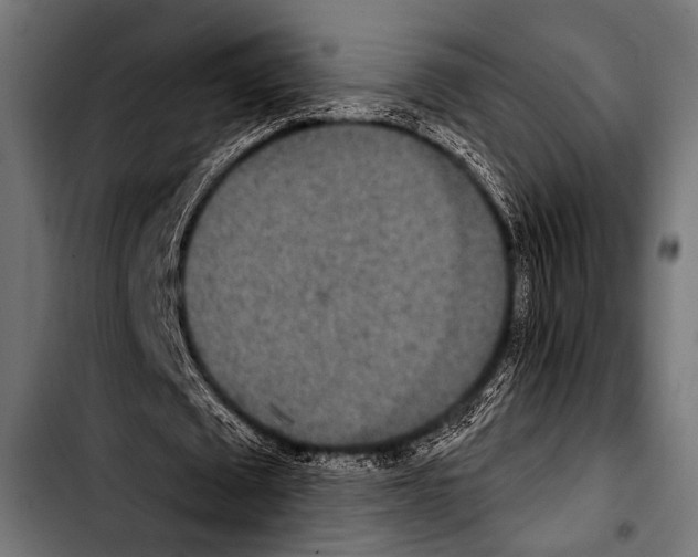 X0000103320673200810171402