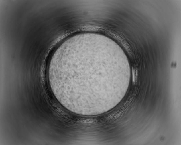 X0000103320675200810171402