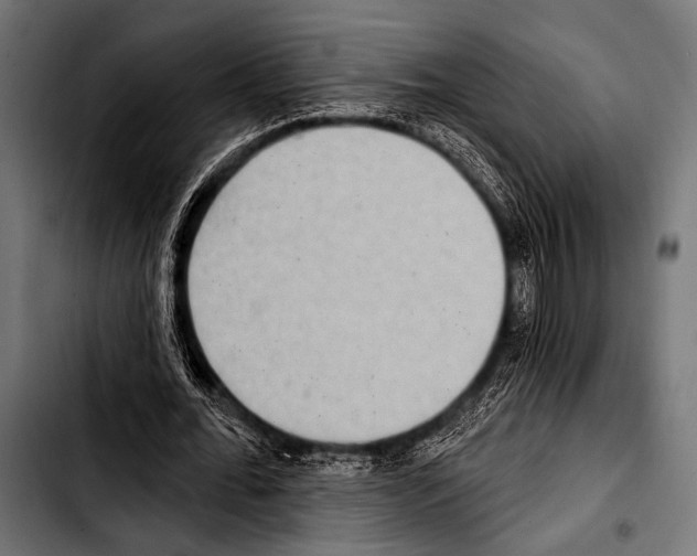 X0000103320676200810171402