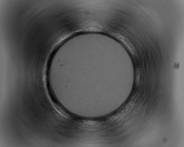 X0000103320677200810171402