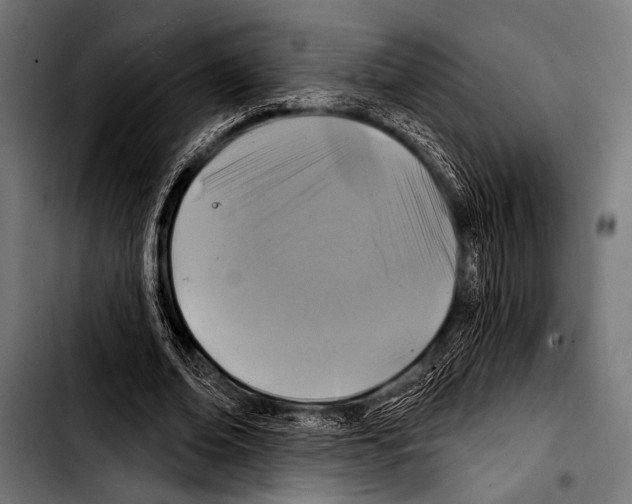 X0000103320678200810171402