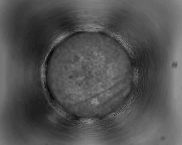 X0000103320679200810171402