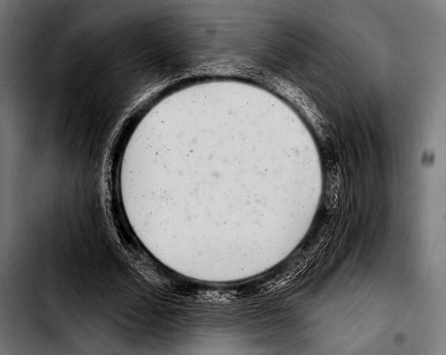 X0000103320680200810171402