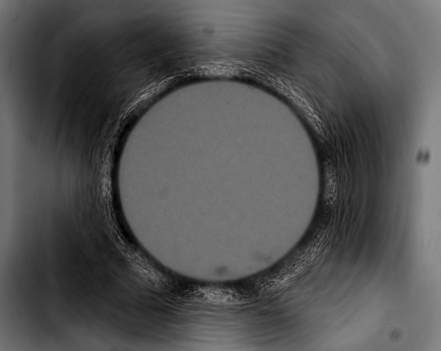X0000103320681200810171402