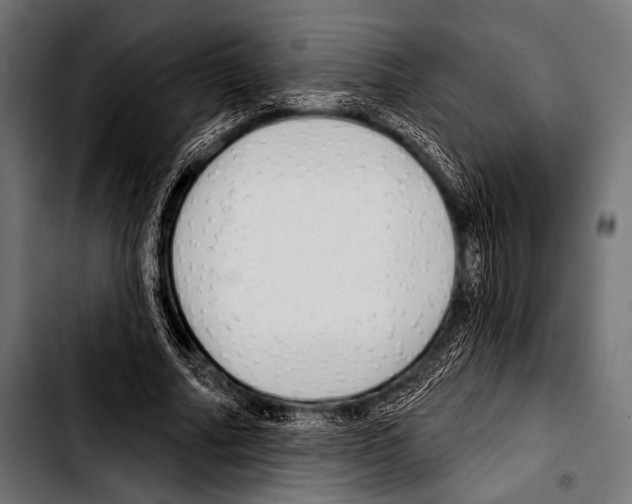 X0000103320682200810171402