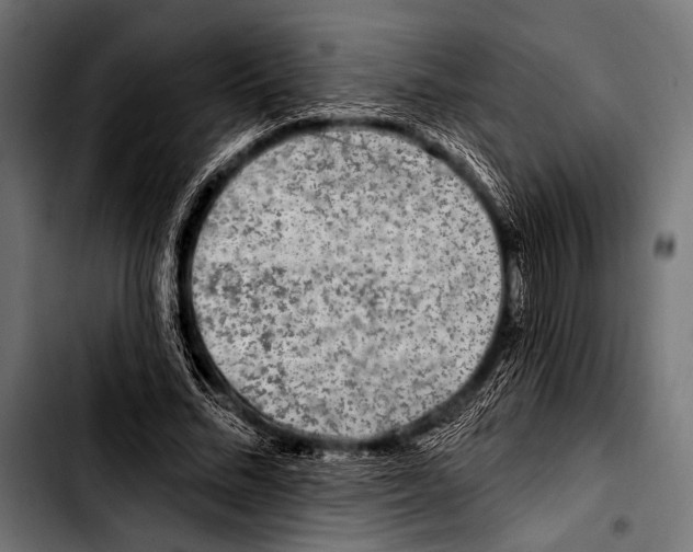 X0000103320684200810171402