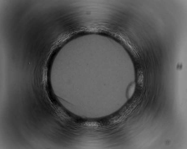 X0000103320685200810171402