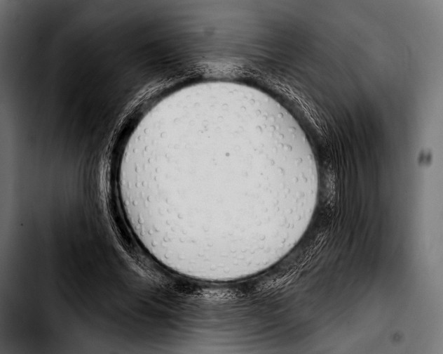 X0000103320686200810171402