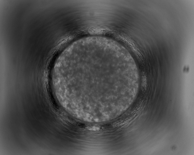 X0000103320687200810171402