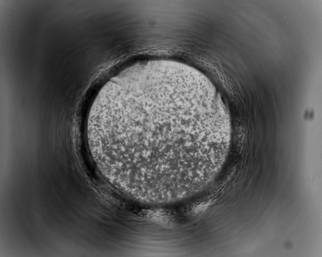 X0000103320688200810171402