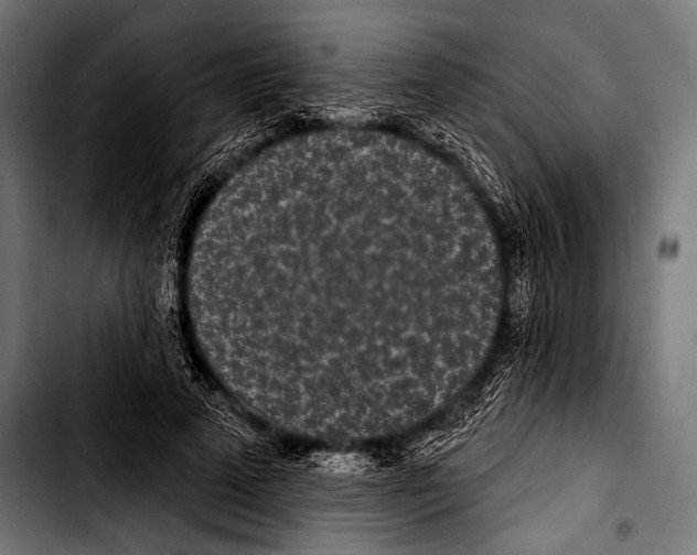X0000103320689200810171402