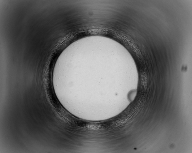 X0000103320690200810171402
