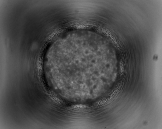 X0000103320691200810171402
