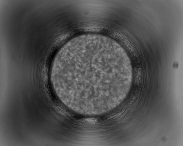 X0000103320692200810171402
