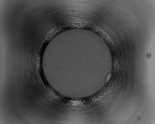X0000103320693200810171402