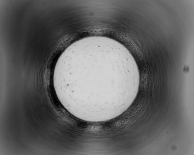 X0000103320694200810171401