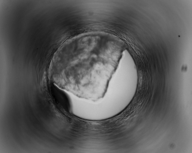 X0000103320695200810171401