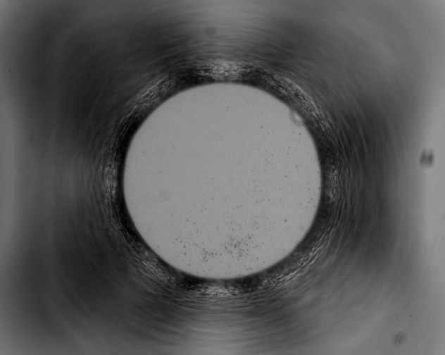 X0000103320697200810171401