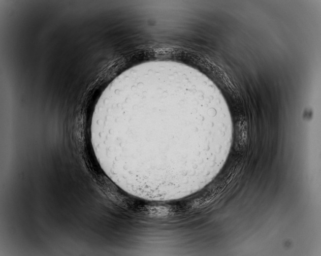 X0000103320698200810171401
