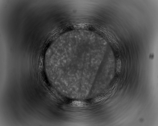 X0000103320699200810171401