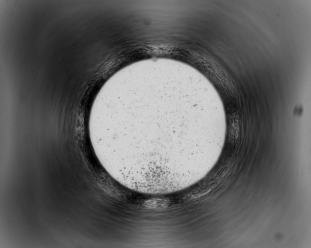 X0000103320700200810171401