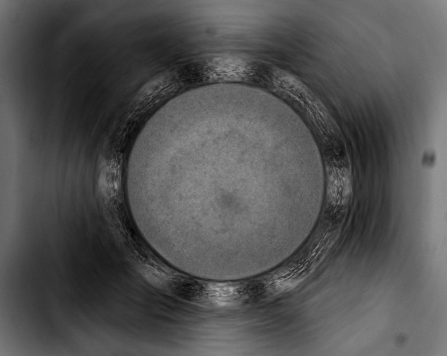 X0000103320701200810171401