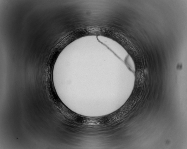 X0000103320702200810171401