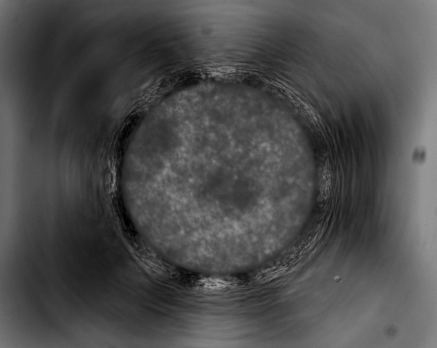 X0000103320703200810171401