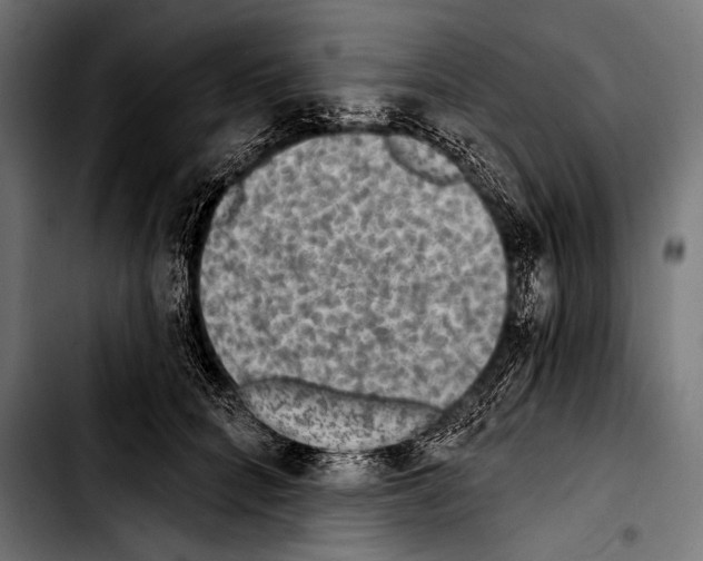 X0000103320704200810171401