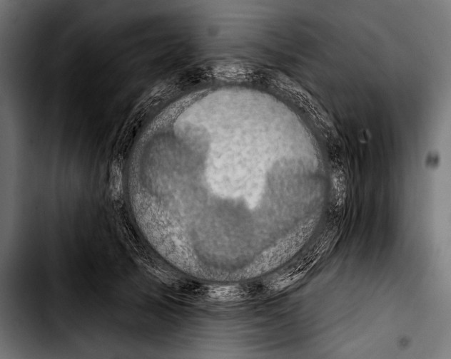 X0000103320705200810171401
