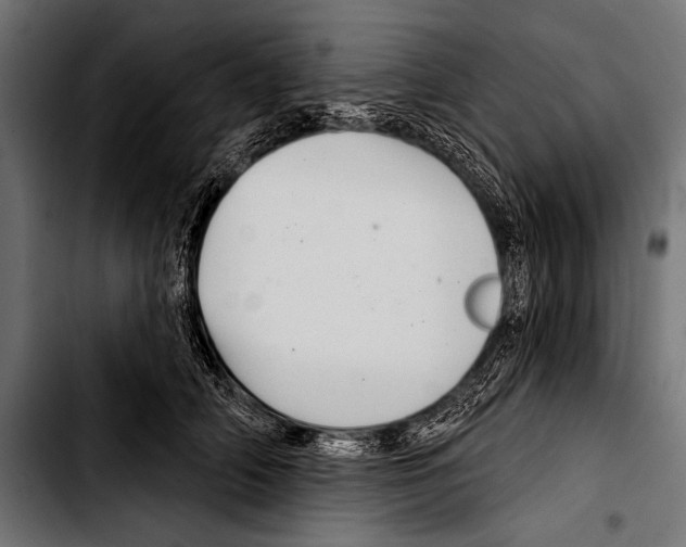 X0000103320706200810171401