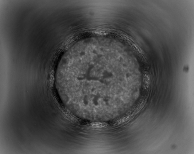 X0000103320707200810171401