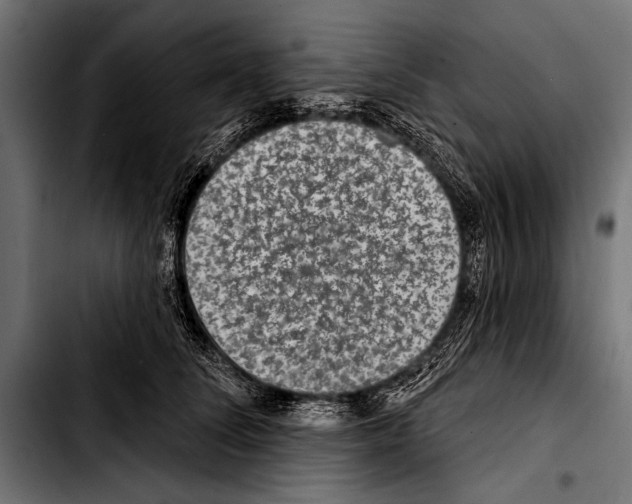 X0000103320708200810171401