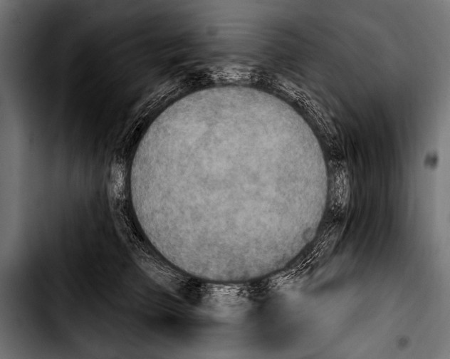 X0000103320709200810171401
