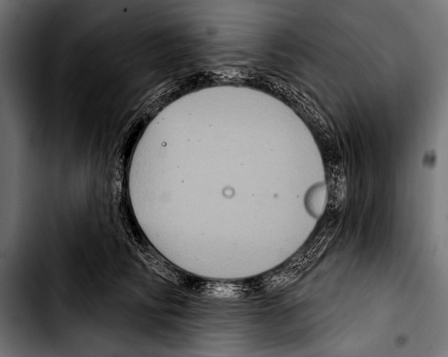 X0000103320710200810171401